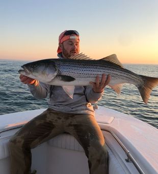 Book Marshfield fishing charters for striped bass.